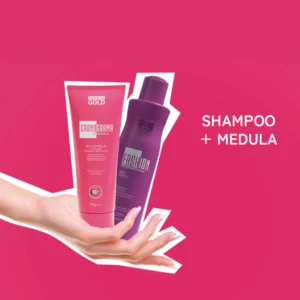 Meu Cronograma Minha Vida - Etapa 1: Medula